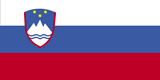 Slovenian flag